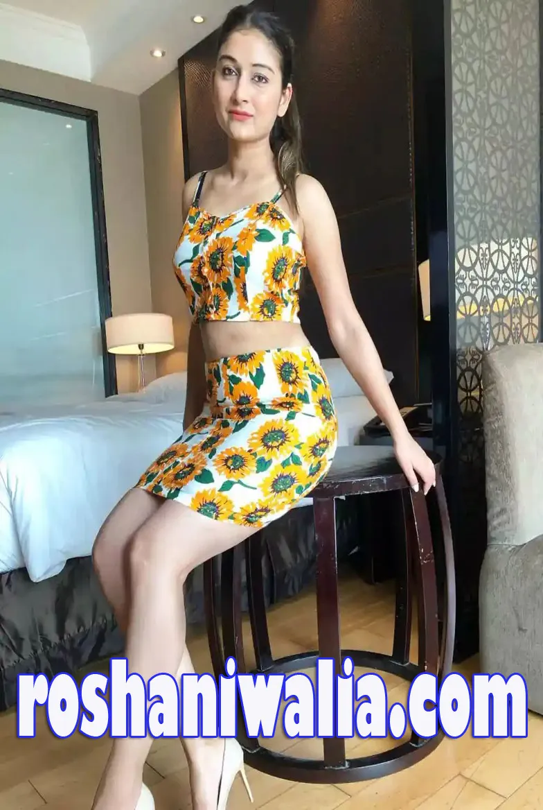 Low Budget goa Escort