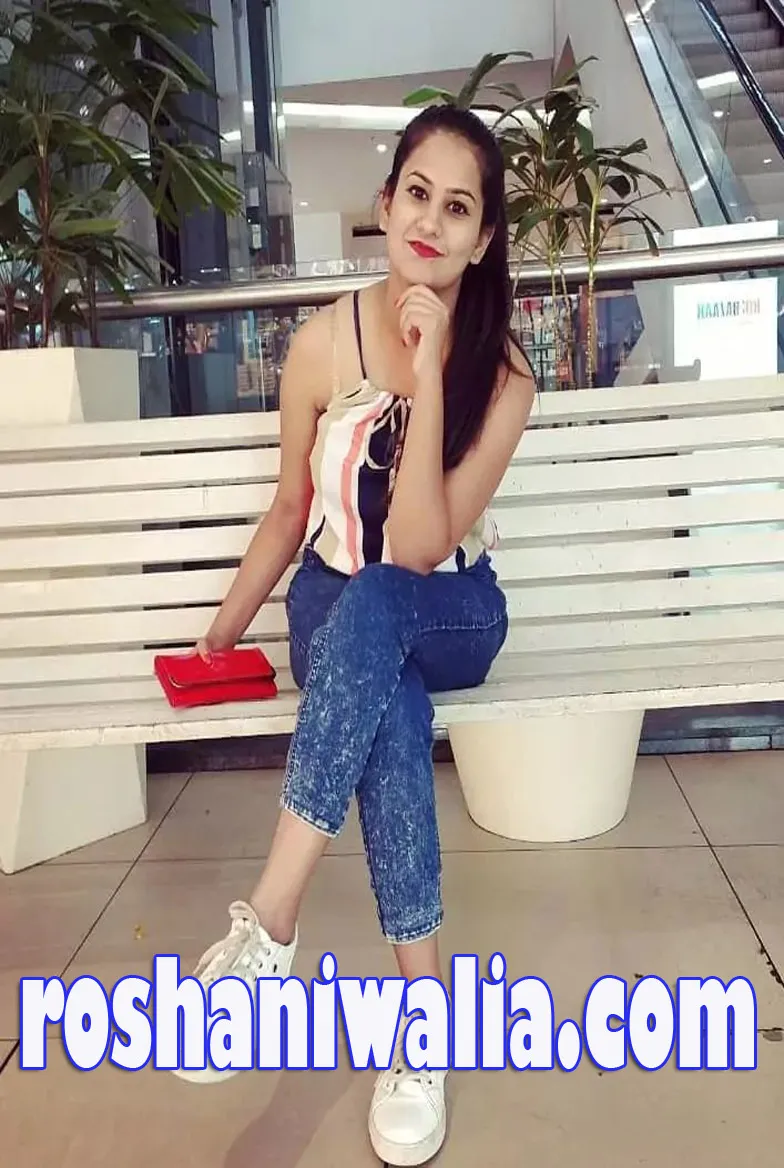 goa Escorts Services